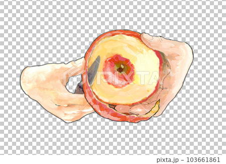 りんごを包丁で皮むき  103661861