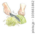 キャベツを包丁で千切り 103661862