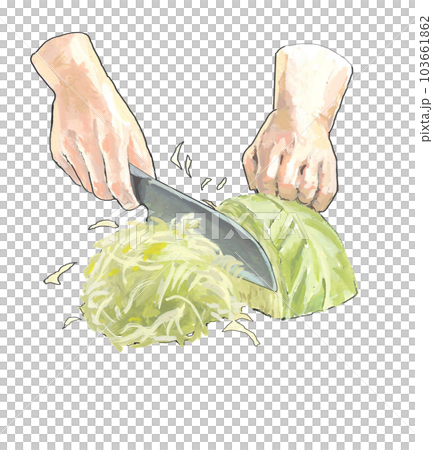 用刀把白菜切碎 用刀把白菜切碎 103661862
