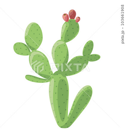 Simple Cactus Nopal Isolated on White Simple Cactus Nopal Isolated on White 103661908