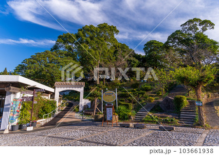 農場出入口　観光農園スポット　福田農場ワイナリー風景(熊本県水俣市) 103661938