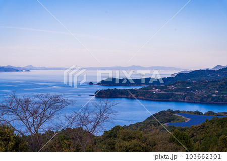 ブランコ展望・展望ステージから観える風景　　観光農園スポット　福田農場ワイナリー風景(熊本県水俣市) 103662301