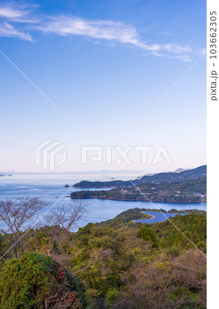 ブランコ展望・展望ステージから観える風景　　観光農園スポット　福田農場ワイナリー風景(熊本県水俣市) 103662305