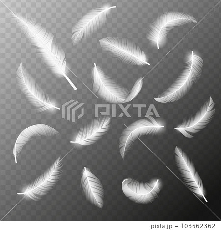 Flying feathers. Falling twirled fluffy realistic white swan, dove or angel wings feather flow. Realistic 3d vector illustration of falling dove feathers texture 103662362