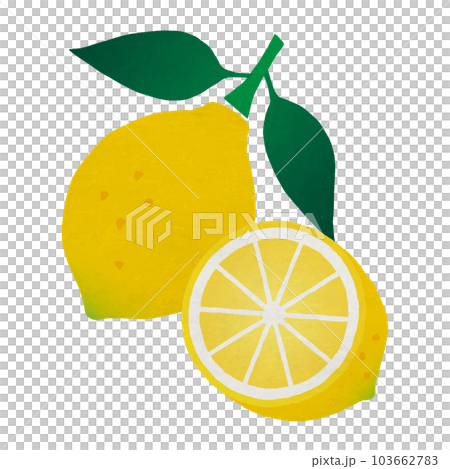Lemon with leaves and lemon cut in half_Colored pencil touch_Vector illustration Lemon with leaves and lemon cut in half_Colored pencil touch_Vector illustration 103662783