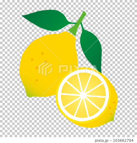Lemon with leaves and lemon cut in half _ cutout style _ vector illustration Lemon with leaves and lemon cut in half _ cutout style _ vector illustration 103662784