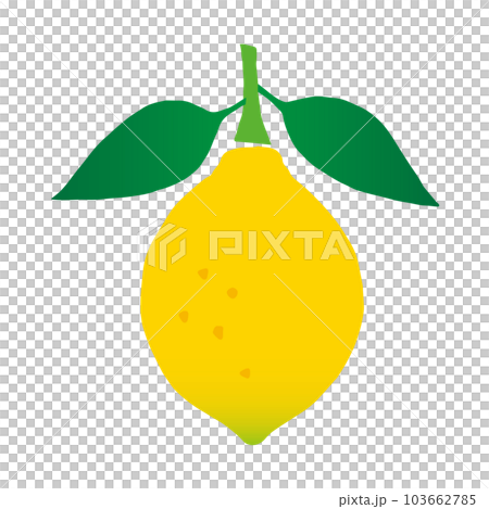 Lemon with leaves _ cutout style _ vector illustration Lemon with leaves _ cutout style _ vector illustration 103662785