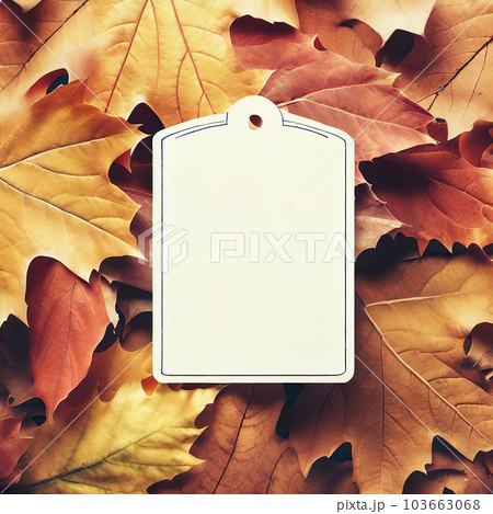blank label - autumn - on top view maple leaves background blank label - autumn - on top view maple leaves background 103663068