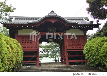 護国寺 不老門 護国寺 不老門 103663505