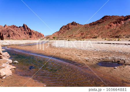 Bolivian canyon near Tupiza,Bolivia 103664881