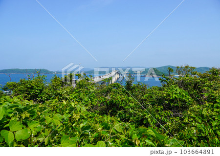瀬崎陽の公園から見る角島大橋 103664891