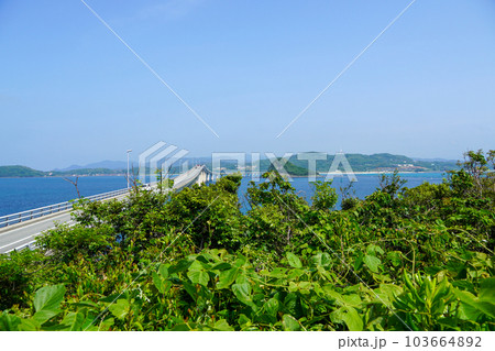 瀬崎陽の公園から見る角島大橋 103664892