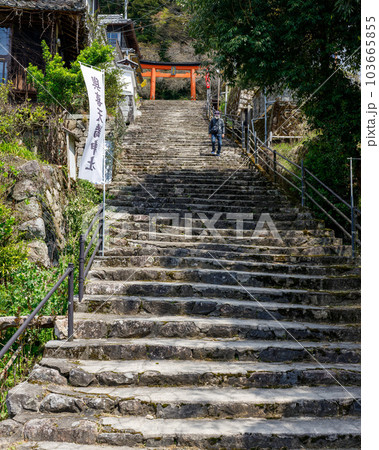 與喜天満神社参道 奈良県桜井市初瀬 2023年4月3日 與喜天満神社参道 奈良県桜井市初瀬 2023年4月3日 103665855