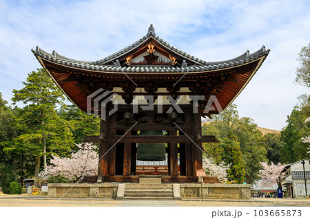 東大寺 鐘楼と桜 2023年3月31日 103665873