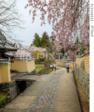 直売卸値 二月堂裏参道の桜 - 美術品