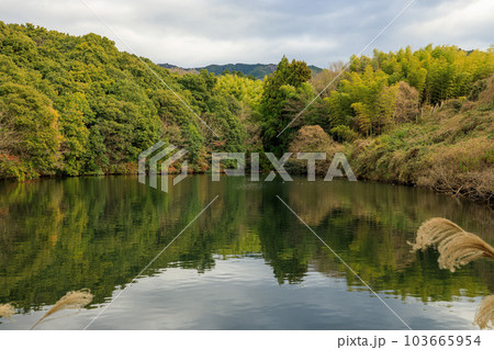 山の辺の道 天理市柳本町 櫛山古墳 2023年1月5日 山の辺の道 天理市柳本町 櫛山古墳 2023年1月5日 103665954