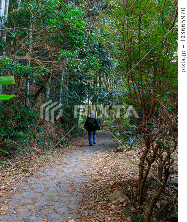 山の辺の道 天理市園原町 石畳の激坂  2023年1月5日 103665970
