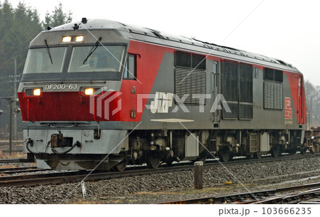 函館本線 大沼 JR貨物 DF200-63(鷲別) 函館本線 大沼 JR貨物 DF200-63(鷲別) 103666235