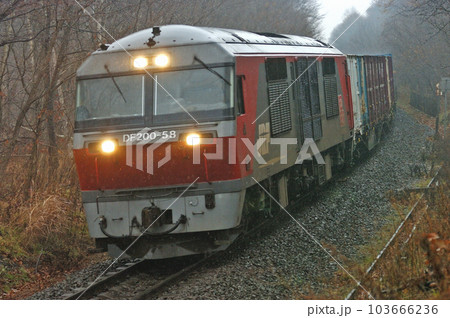 函館本線 森ー姫川 JR貨物 DF200-55(鷲別) 函館本線 森ー姫川 JR貨物 DF200-55(鷲別) 103666236
