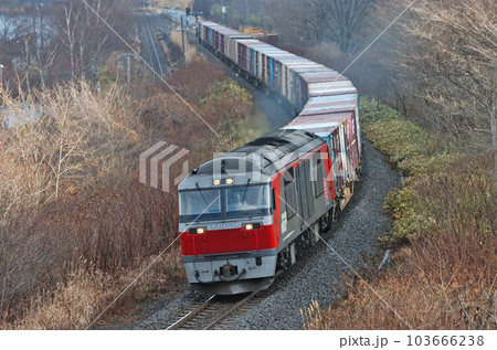 函館本線 大沼ー仁山 JR貨物 DF200-51(鷲別) 函館本線 大沼ー仁山 JR貨物 DF200-51(鷲別) 103666238