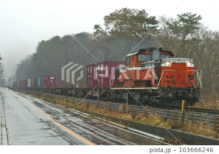 函館本線　大沼公園ー赤井川　JR貨物　DD51-1164（鷲別） 103666246