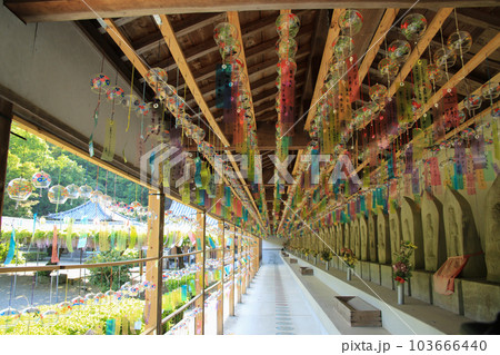 徳島県石井町 童学寺 徳島県石井町 童学寺 103666440