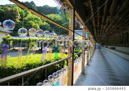 徳島県石井町 童学寺 徳島県石井町 童学寺 103666443
