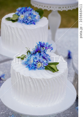 Wedding Cake Wedding Cake 103668411