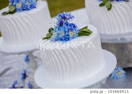 Wedding Cake Wedding Cake 103668413