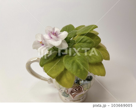 blooming indoor saintpaulia in a cup on a light background 103669005