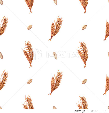 Watercolor seamless wheat spikelet pattern background with wheat spica, oats spikelet. Hand-drawn illustration isolated on white background. Perfect concept illustration for menu, bakery Watercolor seamless wheat spikelet pattern background with wheat spica, oats spikelet. Hand-drawn illustration isolated on white background. Perfect concept illustration for menu, bakery 103669926