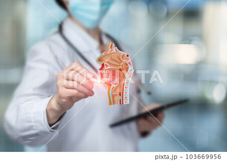 A doctor draws the anatomy of the patient mucosa. A doctor draws the anatomy of the patient mucosa. 103669956