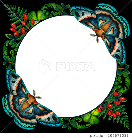 Watercolor frame with blue green moth, wild forest fern, red berries and green grass. Nature forest wild landscape. Isolated illustration on black background 103671051