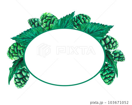 Fresh green hop frame. Watercolor hand drawn illustration for Octoberfest. Sketch on on a transparent background for ornament or any design 103671052