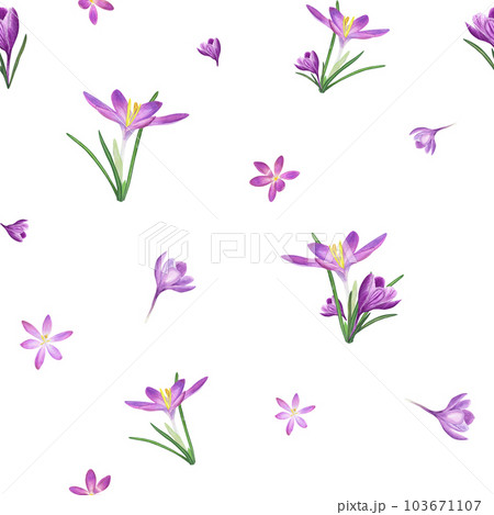 Watercolor seamless pattern of crocuses isolated on white background. Spring illustration for the design of textile, wrapping paper, scrapbooking, greetings, wedding cards Watercolor seamless pattern of crocuses isolated on white background. Spring illustration for the design of textile, wrapping paper, scrapbooking, greetings, wedding cards 103671107