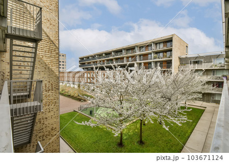 an apartment complex with flowering trees in the front yard and stairs leading up to balknotn's building 103671124