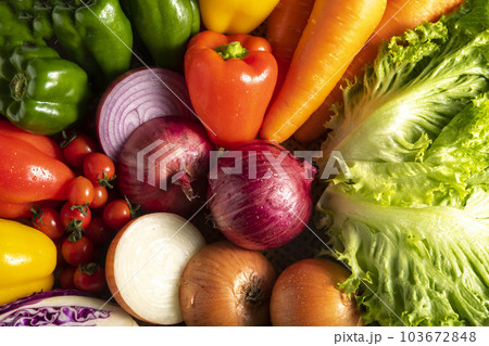 畑で収穫した新鮮で美味しい沢山の野菜 103672848