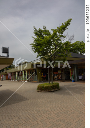 赤城高原サービスエリア 赤城高原サービスエリア 103673232