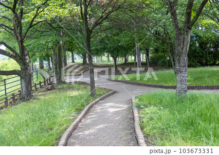 赤城高原サービスエリアの公園スペース 赤城高原サービスエリアの公園スペース 103673331