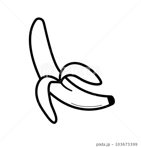 Peeled banana. Hand drawn sketch icon of fruit. Isolated vector illustration in doodle line style. 103673399