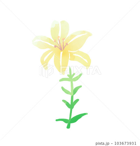 ユリの花のスタンプ ユリの花のスタンプ 103673931