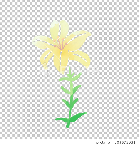 百合花郵票 103673931