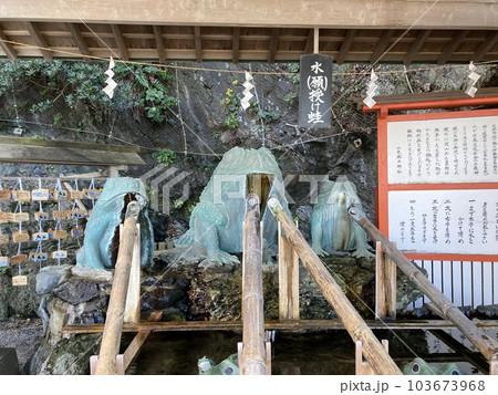 三重県伊勢市の神社、二見興玉神社にある水授けの蛙、沢山の蛙の像です。 三重県伊勢市の神社、二見興玉神社にある水授けの蛙、沢山の蛙の像です。 103673968