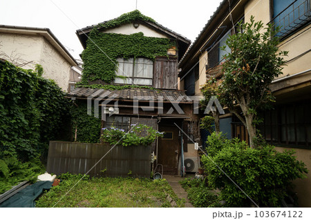 日本の古い住宅/庭付き二階建一軒家/蔦の絡まった古い家/鬱蒼とした昭和建築/アパート付き/一戸建て/ 103674122