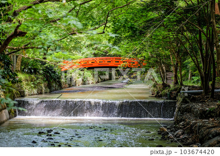 静岡　小國神社　古代の森　赤い橋 103674420