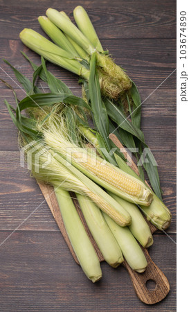 ヤングコーン 103674890