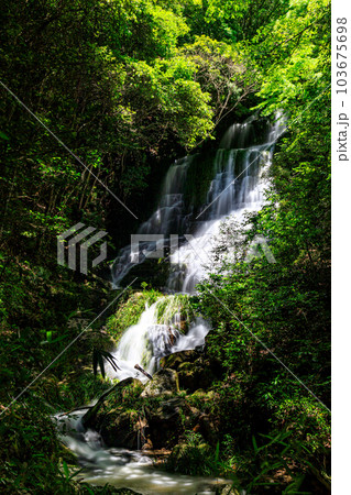 新緑が美しい滝|太戸の滝 新緑が美しい滝|太戸の滝 103675698