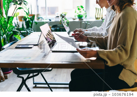 Image photo 103676194