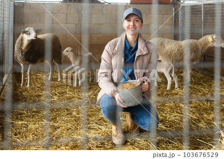 Portrait of female farm worker feeding lambs 103676529