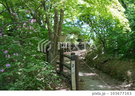 双観山展望台への歩道の景色 103677163